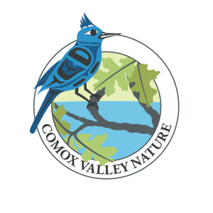 Comox Valley Spring Count Logo